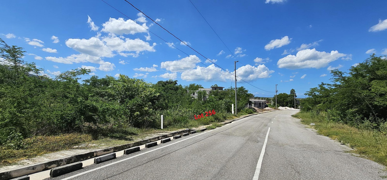 Tenth image of Lot 256 Palmbrook Estate in Lacovia, St. Elizabeth, Jamaica - property is For Sale