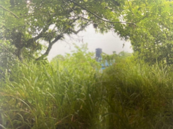 Fifth image of Land Part of Belfield, cl in Belfield, St. Mary, Jamaica - property is For Sale