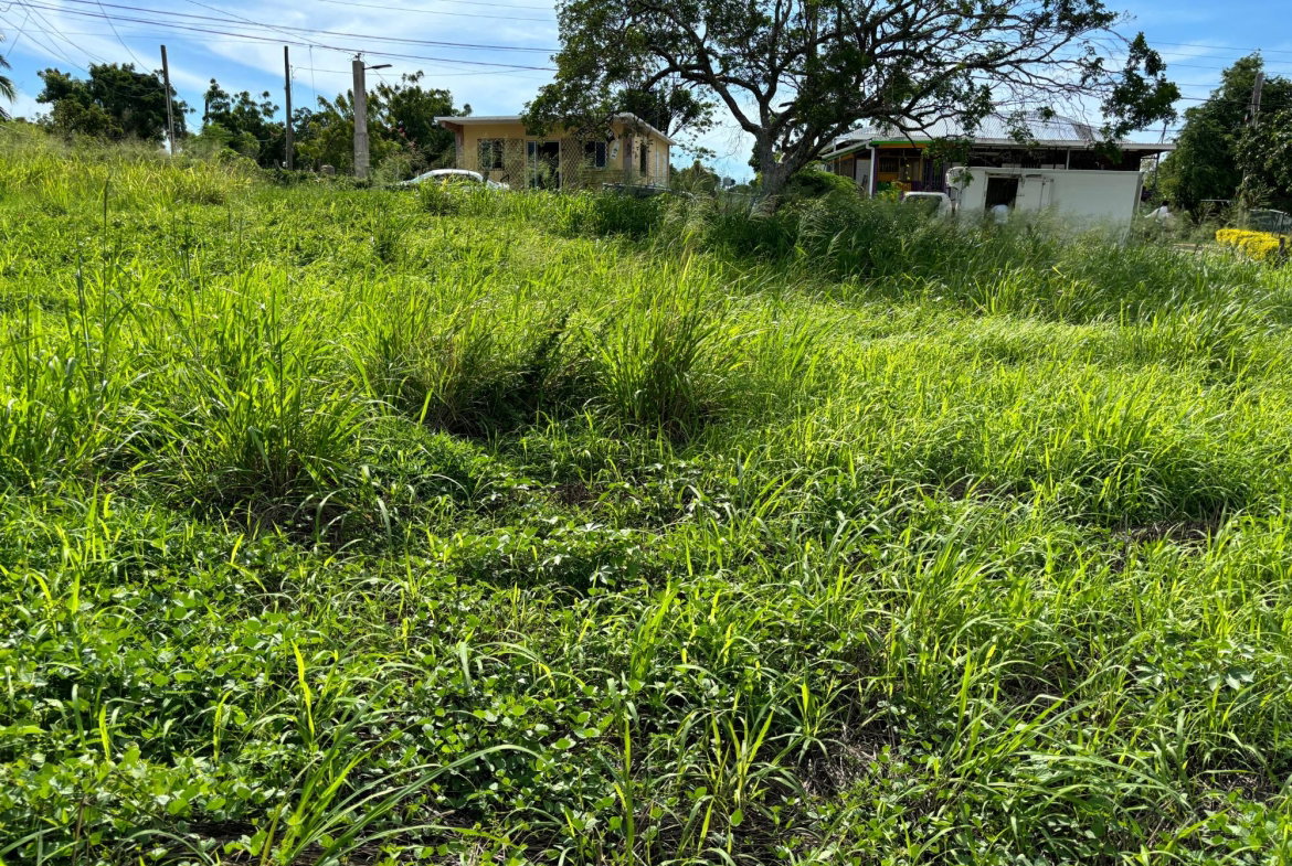 Sixth image of Lot 4- Treasure Beach in Treasure Beach, St. Elizabeth, Jamaica - property is For Sale