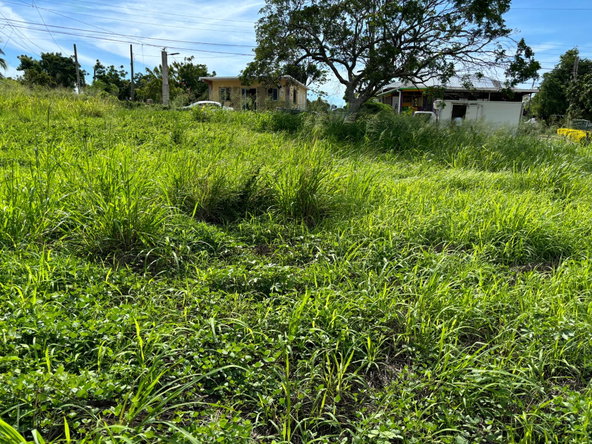 Sixth image of Lot 4- Treasure Beach in Treasure Beach, St. Elizabeth, Jamaica - property is For Sale
