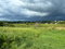 First image of Lot 4- Treasure Beach in Treasure Beach, St. Elizabeth, Jamaica - property is For Sale