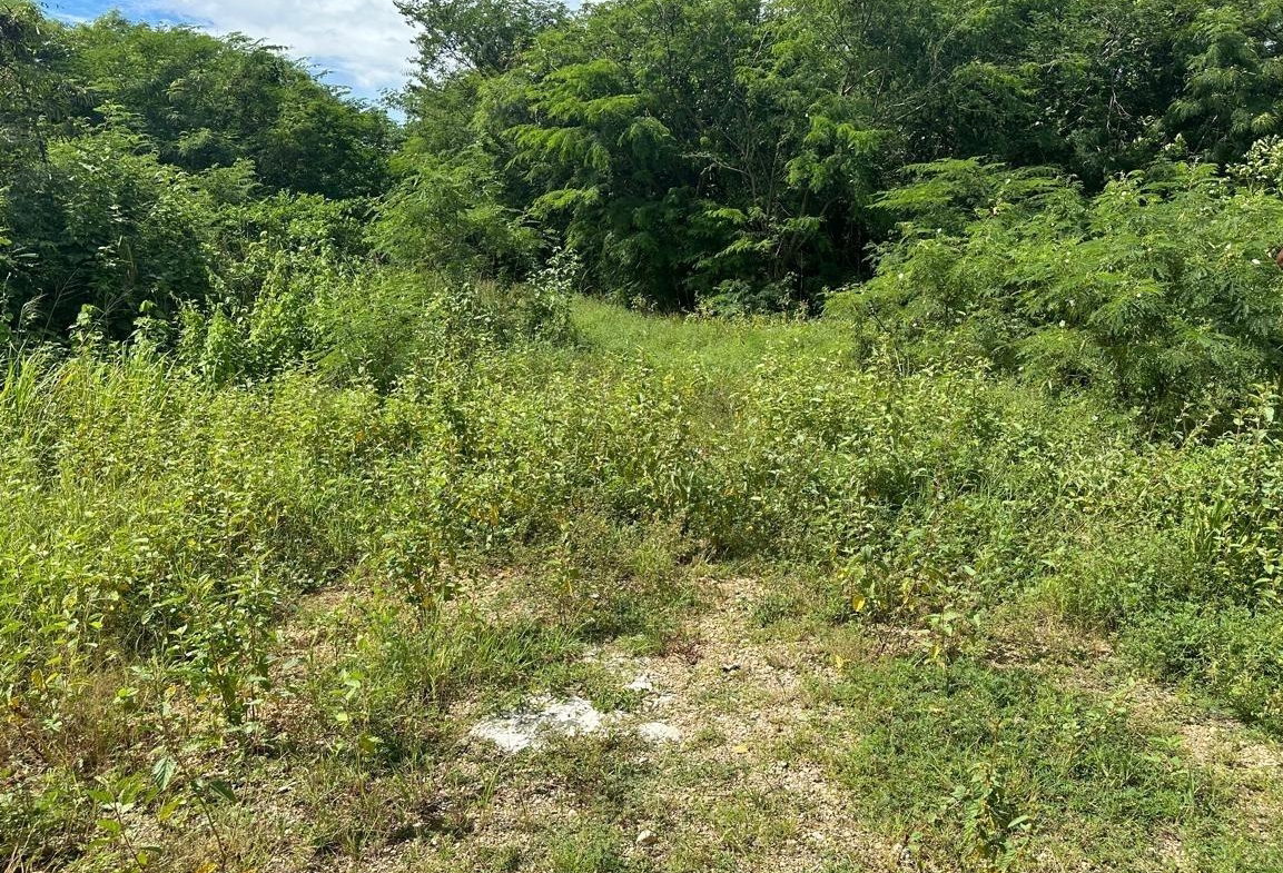 Second image of Lot #6 Twin Palm Estate, Palmer' in Palmers Cross, Clarendon, Jamaica - property is For Sale