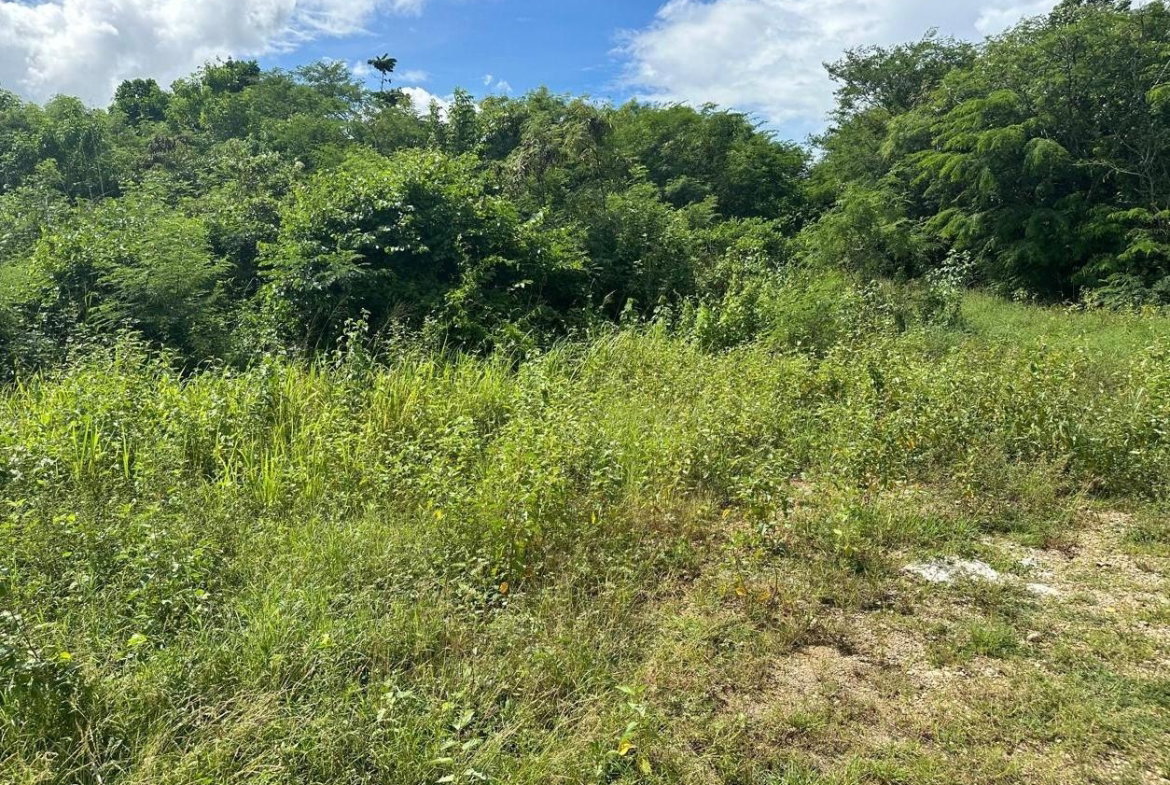 First image of Lot #6 Twin Palm Estate, Palmer' in Palmers Cross, Clarendon, Jamaica - property is For Sale