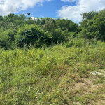 First image of Lot #6 Twin Palm Estate, Palmer' in Palmers Cross, Clarendon, Jamaica - property is For Sale