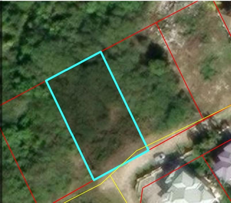 Third image of Lot #6 Twin Palm Estate, Palmer' in Palmers Cross, Clarendon, Jamaica - property is For Sale