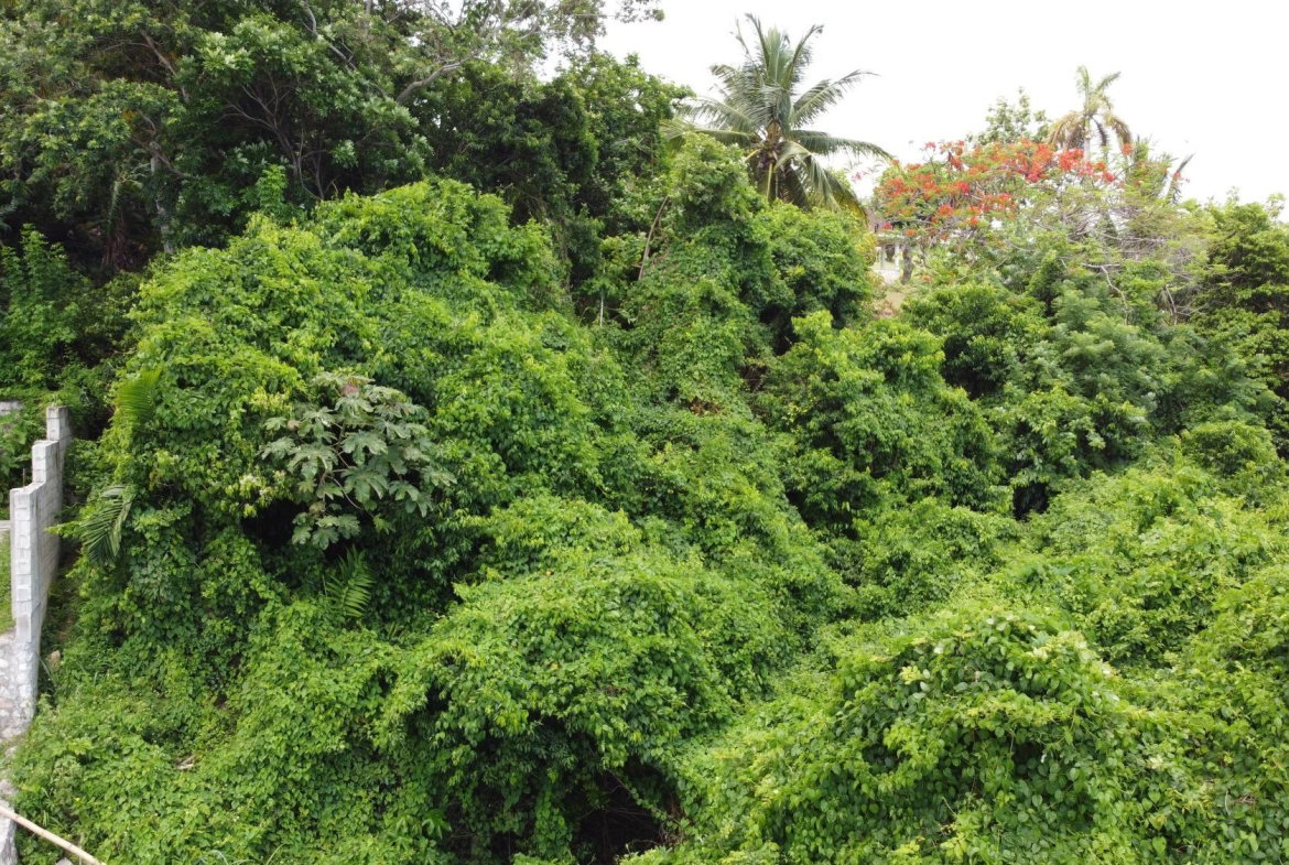 Fourteenth image of Unity Hall in Unity Hall, St. James, Jamaica - property is For Sale