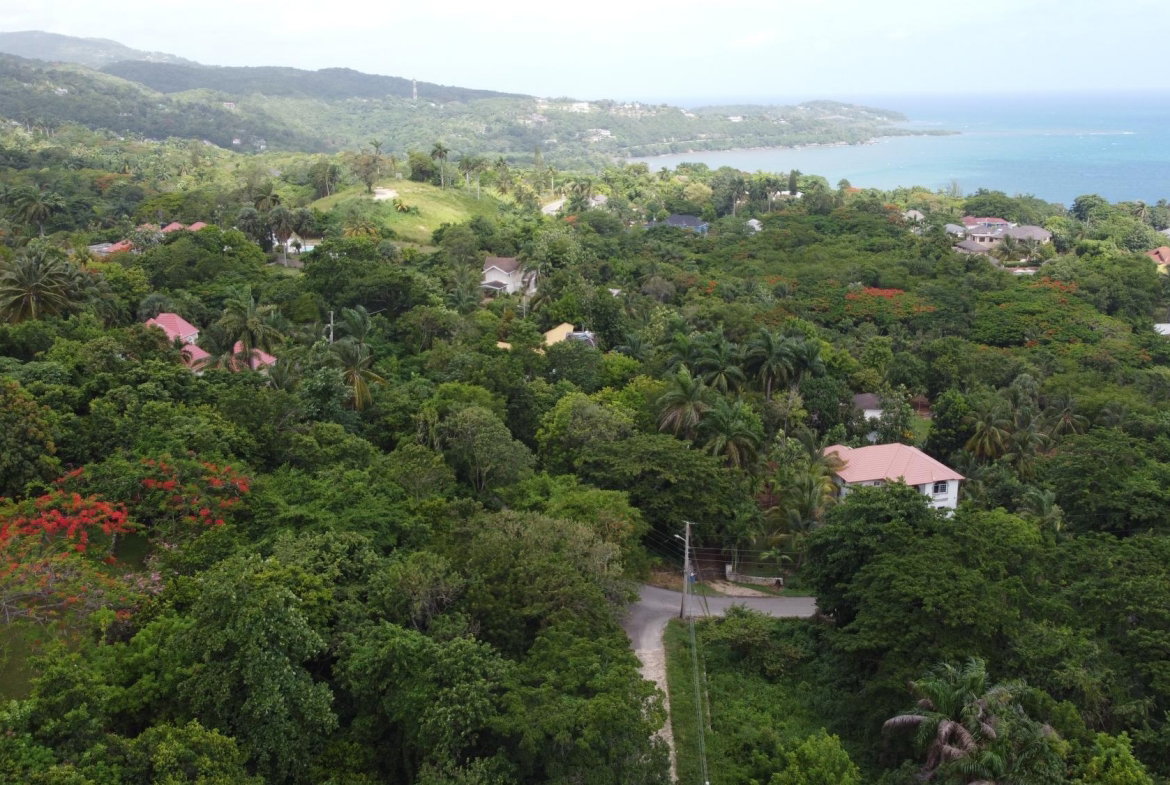 Sixteenth image of Unity Hall in Unity Hall, St. James, Jamaica - property is For Sale