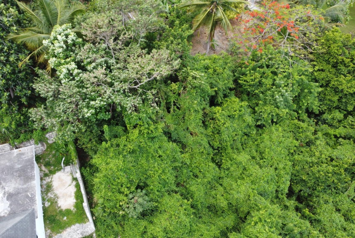 Nineteenth image of Unity Hall in Unity Hall, St. James, Jamaica - property is For Sale