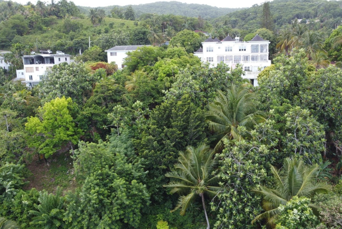 Twentieth image of Unity Hall in Unity Hall, St. James, Jamaica - property is For Sale