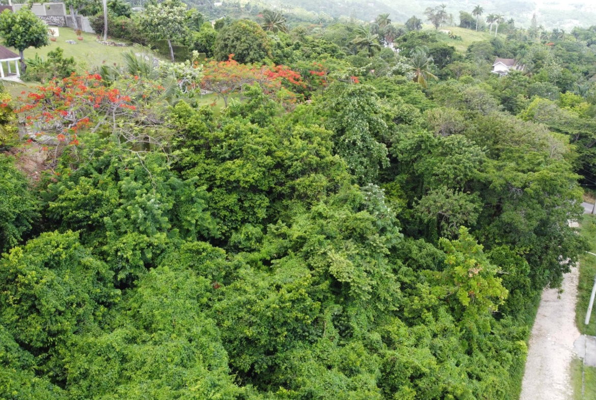 Third image of Unity Hall in Unity Hall, St. James, Jamaica - property is For Sale
