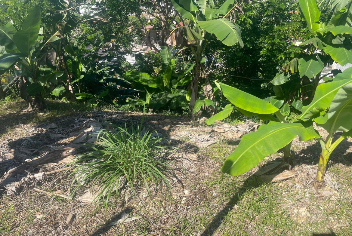 First image of 718 Westgate Hills in Westgate Hills, St. James, Jamaica - property is For Sale