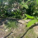 First image of 718 Westgate Hills in Westgate Hills, St. James, Jamaica - property is For Sale