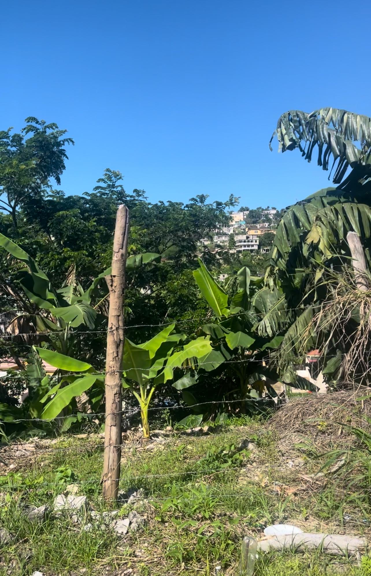 Prime-Residential-Lot-for-Sale-in-Westgate-Hills-Jamaica Third image of 718 Westgate Hills in Westgate Hills, St. James, Jamaica - property is For Sale