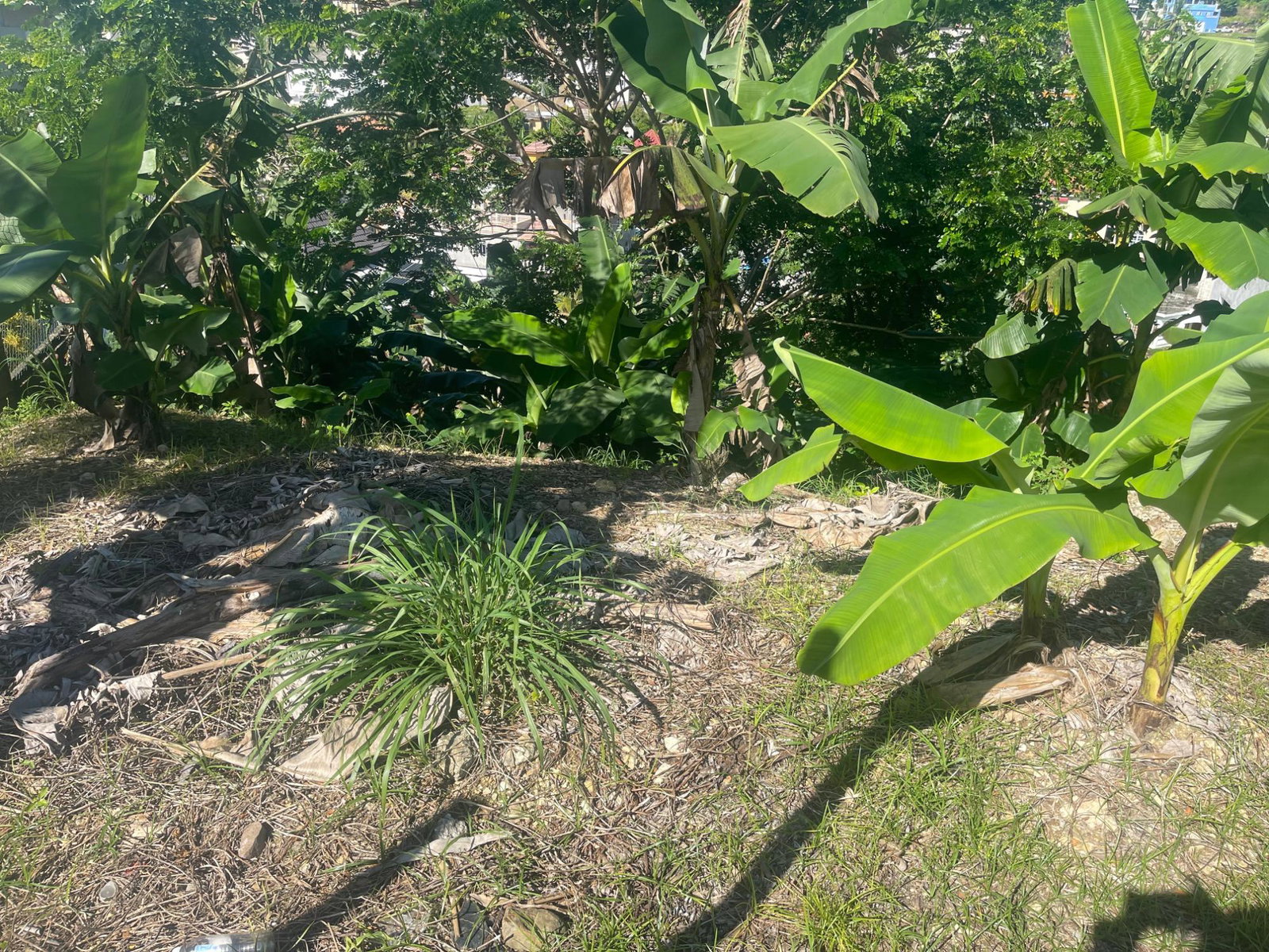 Prime-Residential-Lot-for-Sale-in-Westgate-Hills-Jamaica First image of 718 Westgate Hills in Westgate Hills, St. James, Jamaica - property is For Sale