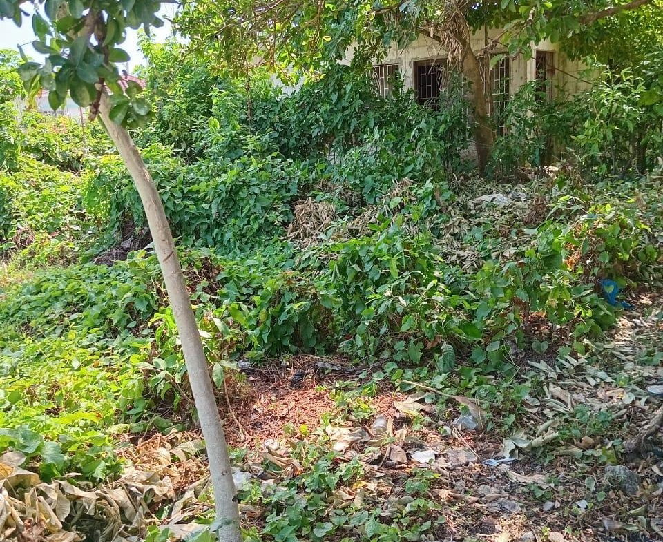 Second image of 9 Guildford in Sydenham, St. Catherine, Jamaica - property is For Sale
