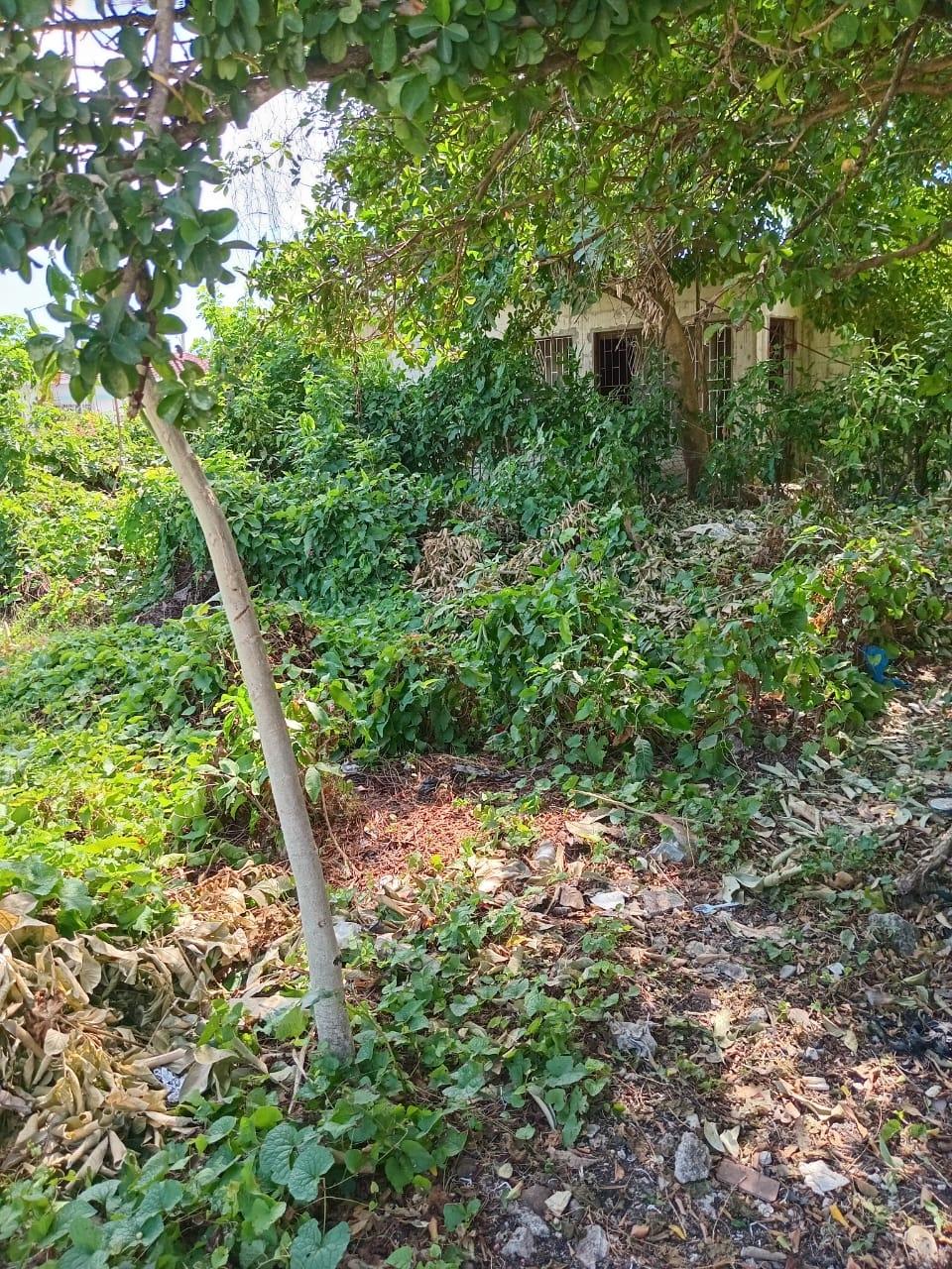 Second image of 9 Guildford in Sydenham, St. Catherine, Jamaica - property is For Sale