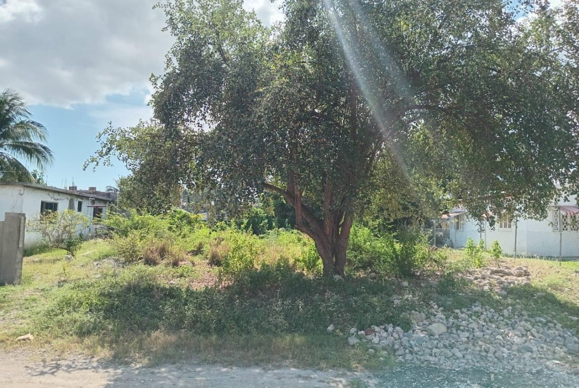 Twelfth image of 9 Guildford in Sydenham, St. Catherine, Jamaica - property is For Sale