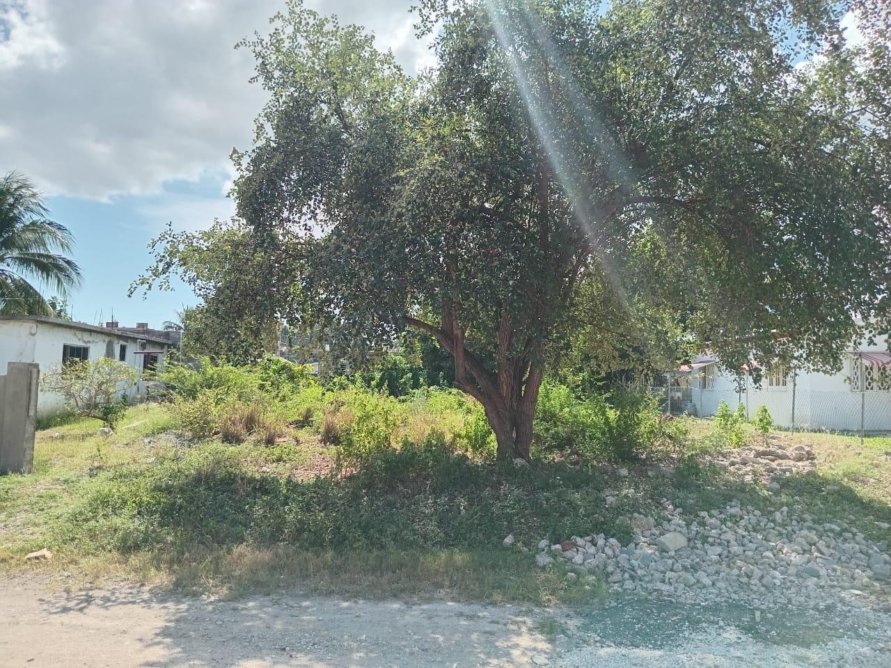 Twelfth image of 9 Guildford in Sydenham, St. Catherine, Jamaica - property is For Sale