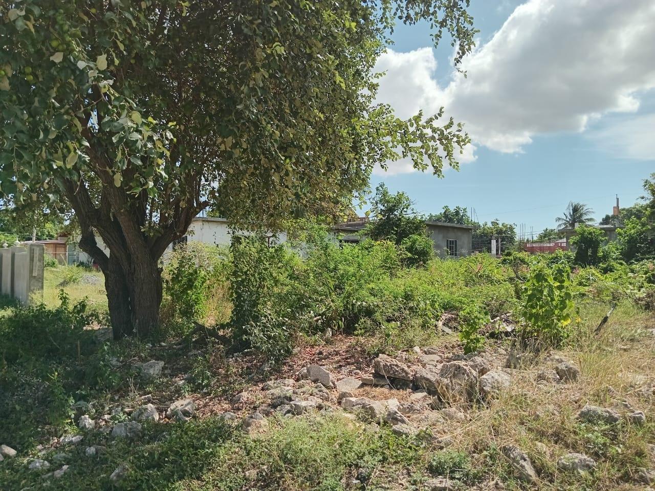 Thirteenth image of 9 Guildford in Sydenham, St. Catherine, Jamaica - property is For Sale