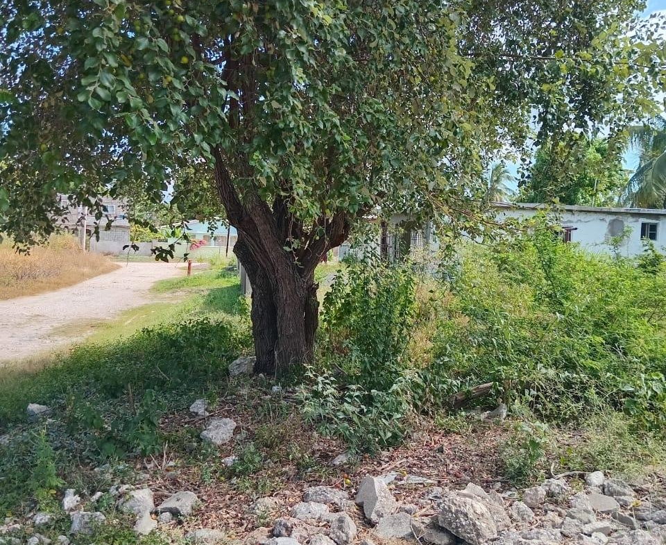 Seventeenth image of 9 Guildford in Sydenham, St. Catherine, Jamaica - property is For Sale