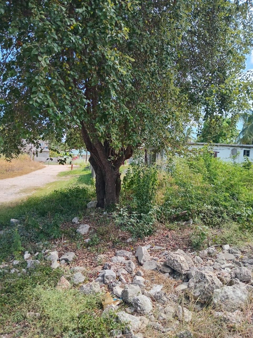 Seventeenth image of 9 Guildford in Sydenham, St. Catherine, Jamaica - property is For Sale