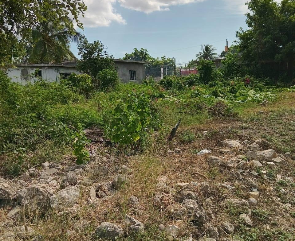 Eighteenth image of 9 Guildford in Sydenham, St. Catherine, Jamaica - property is For Sale