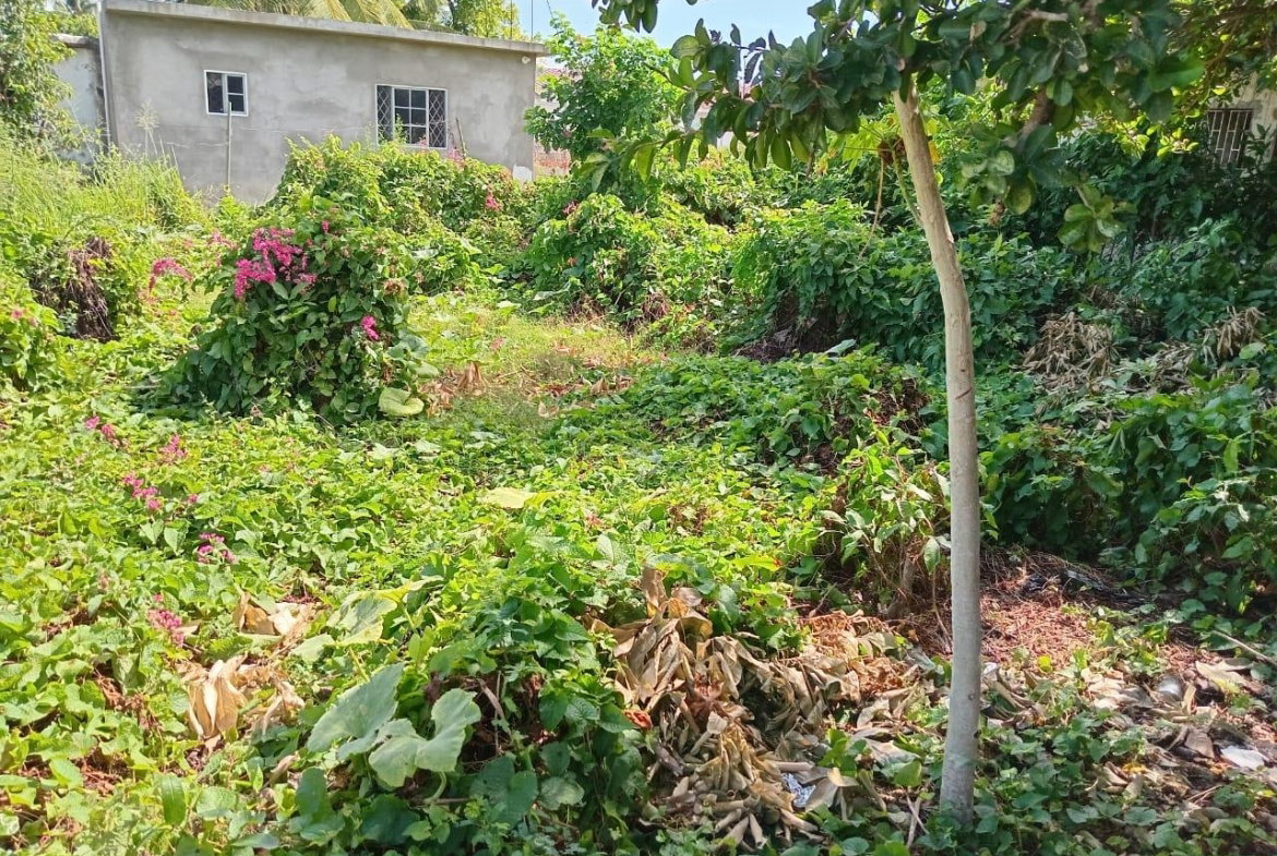 Twentieth image of 9 Guildford in Sydenham, St. Catherine, Jamaica - property is For Sale