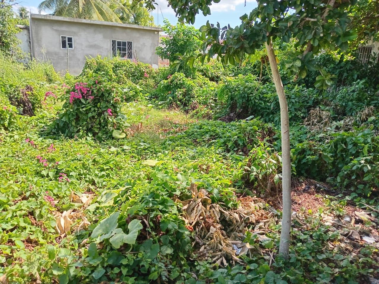 Twentieth image of 9 Guildford in Sydenham, St. Catherine, Jamaica - property is For Sale
