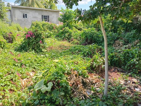 Twentieth image of 9 Guildford in Sydenham, St. Catherine, Jamaica - property is For Sale
