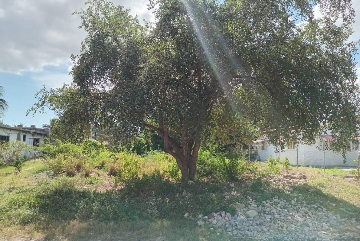 Twenty-First image of 9 Guildford in Sydenham, St. Catherine, Jamaica - property is For Sale