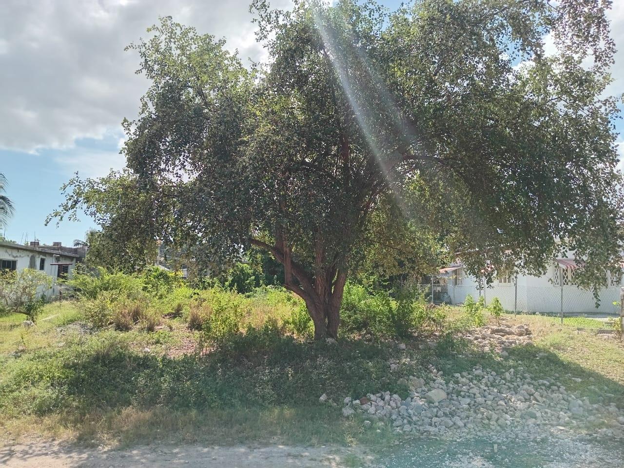 Twenty-First image of 9 Guildford in Sydenham, St. Catherine, Jamaica - property is For Sale