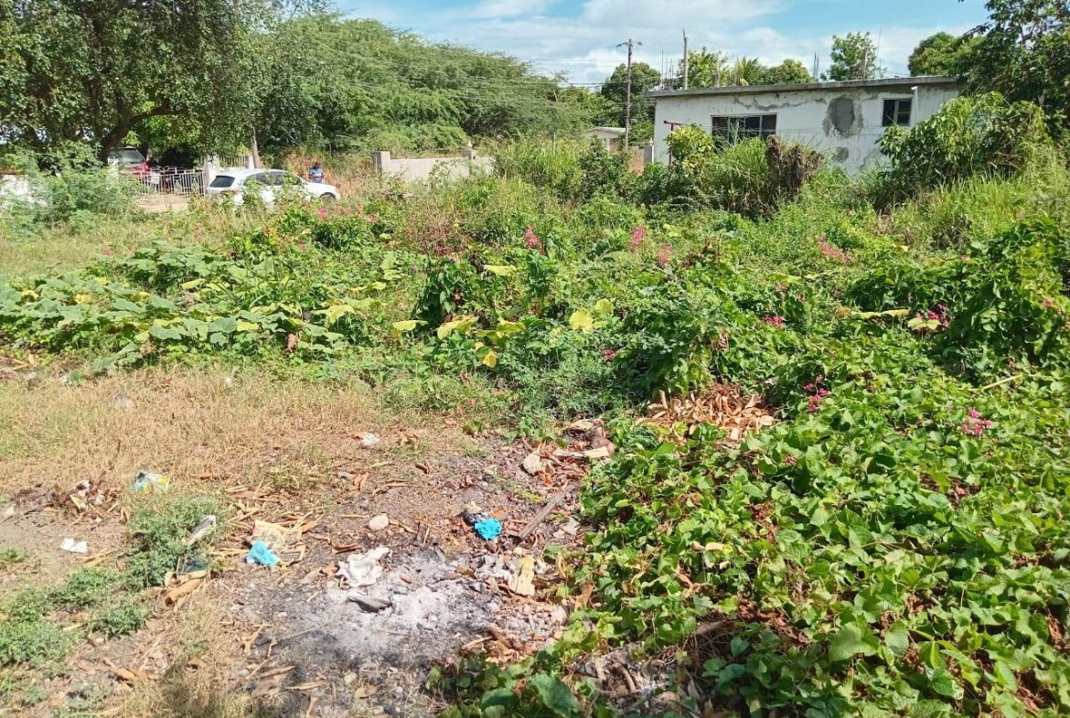 Twenty-Third image of 9 Guildford in Sydenham, St. Catherine, Jamaica - property is For Sale