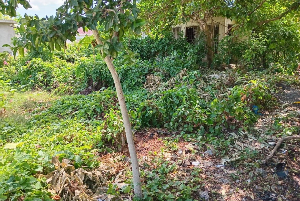 Twenty-Fourth image of 9 Guildford in Sydenham, St. Catherine, Jamaica - property is For Sale