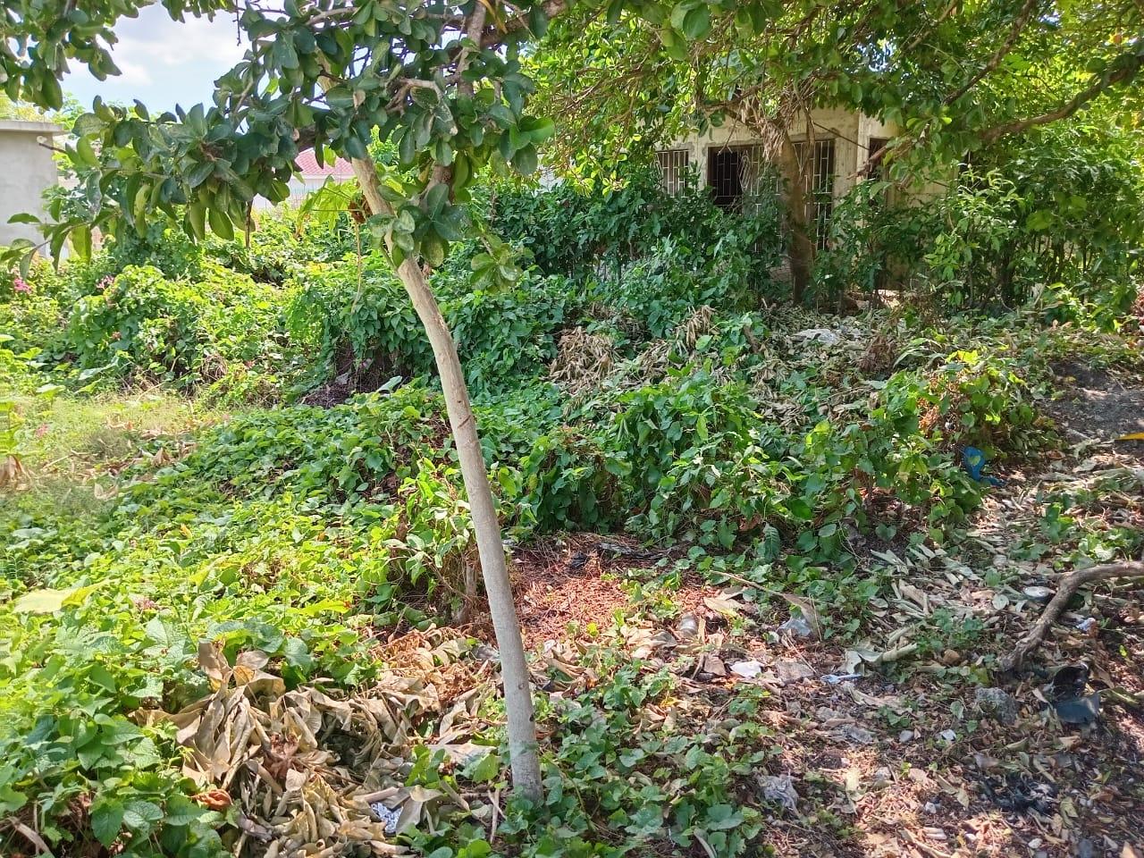 Twenty-Fourth image of 9 Guildford in Sydenham, St. Catherine, Jamaica - property is For Sale