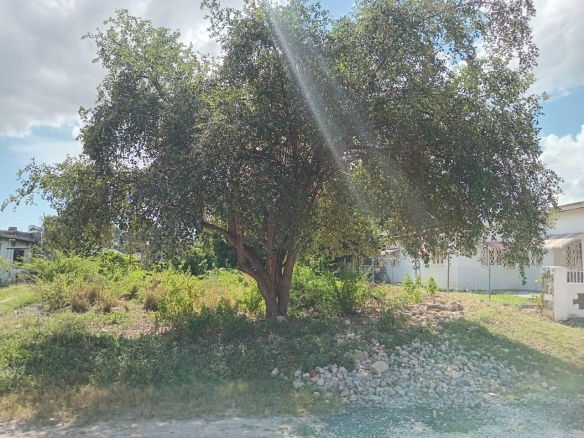 First image of 9 Guildford in Sydenham, St. Catherine, Jamaica - property is For Sale