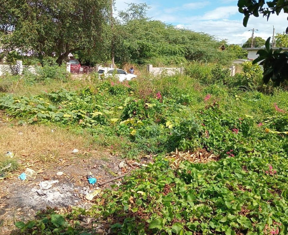 Seventh image of 9 Guildford in Sydenham, St. Catherine, Jamaica - property is For Sale
