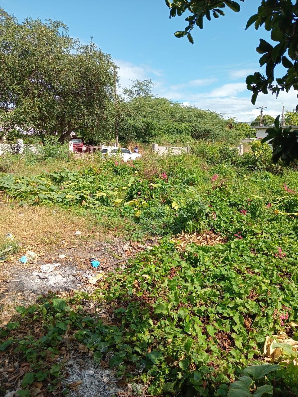 Seventh image of 9 Guildford in Sydenham, St. Catherine, Jamaica - property is For Sale