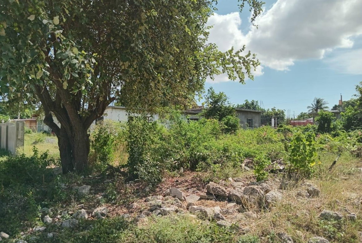 Ninth image of 9 Guildford in Sydenham, St. Catherine, Jamaica - property is For Sale