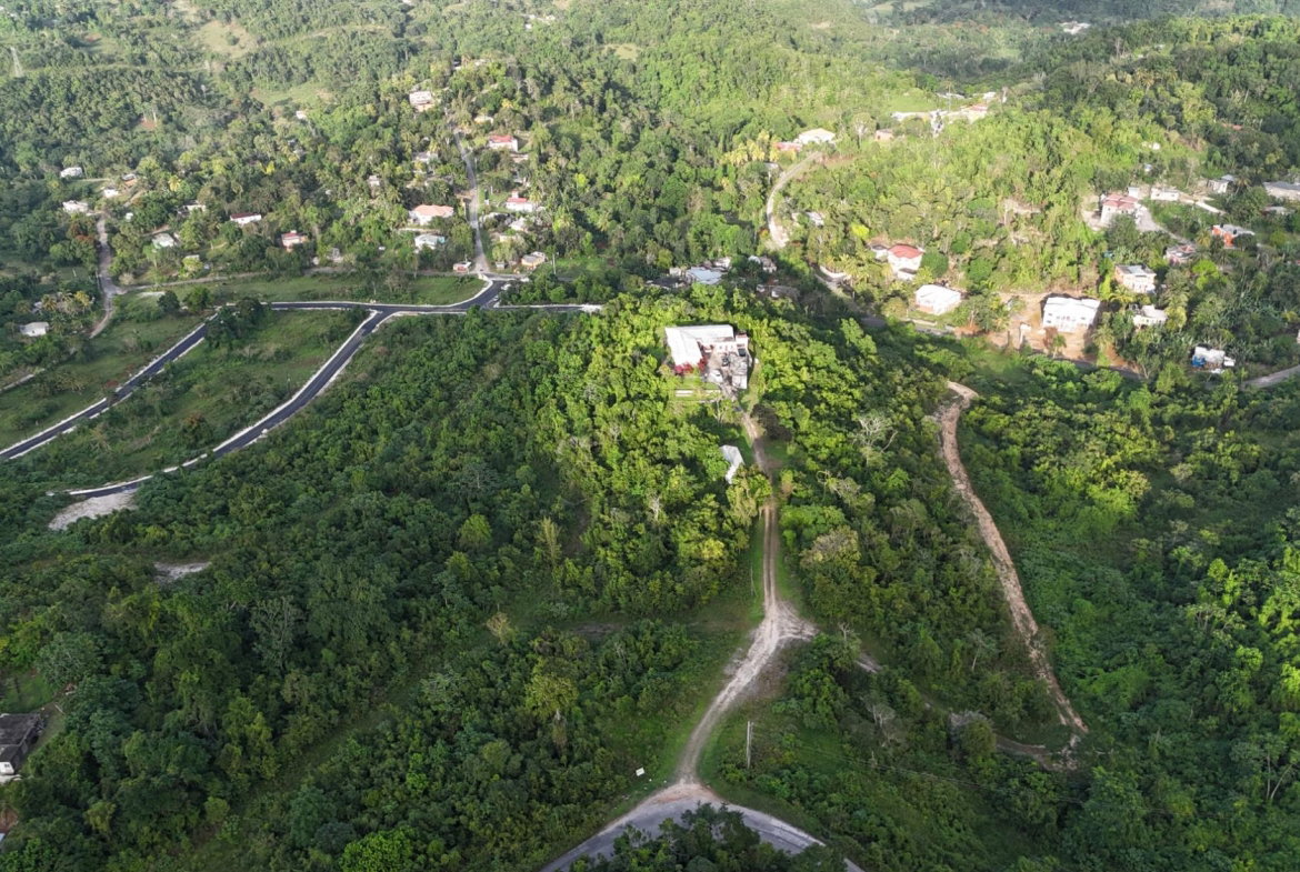 Eighth image of Lot 50 Linvale Dev., Browns Town in Browns Town, St. Ann, Jamaica - property is For Sale