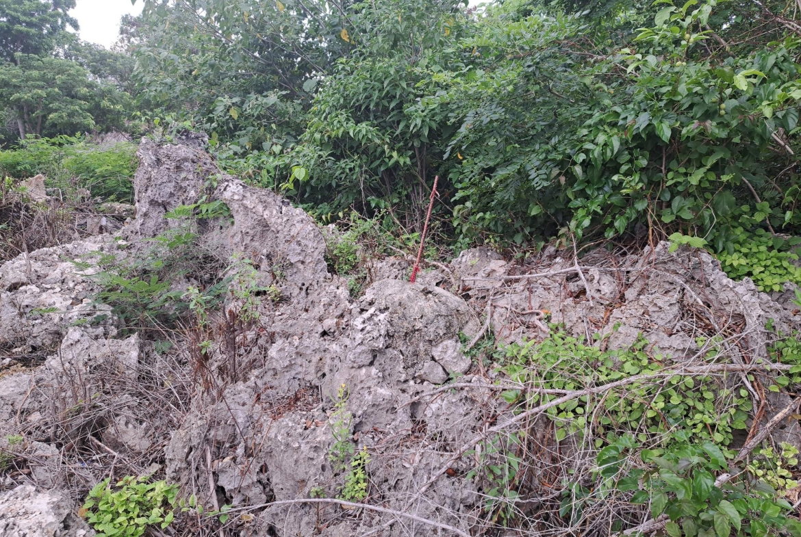 Second image of Lot 3 Great Pond Ocho Rios, st in Ocho Rios, St. Ann, Jamaica - property is For Sale