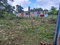First image of Lot 3 Great Pond Ocho Rios, st in Ocho Rios, St. Ann, Jamaica - property is For Sale