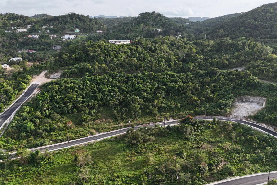 Sixth image of Lot 65 Linvale Dev., Browns Town in Browns Town, St. Ann, Jamaica - property is For Sale