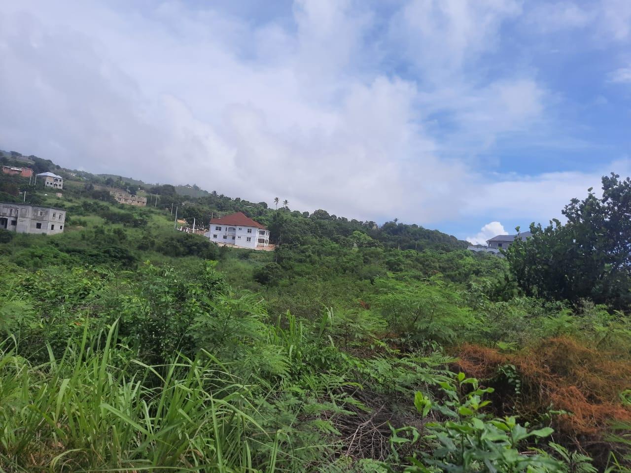 Fourth image of Flagaman Southfield in Southfield, St. Elizabeth, Jamaica - property is For Sale