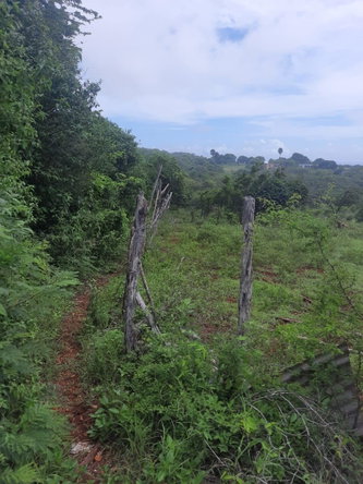 Fifth image of Flagaman Southfield in Southfield, St. Elizabeth, Jamaica - property is For Sale