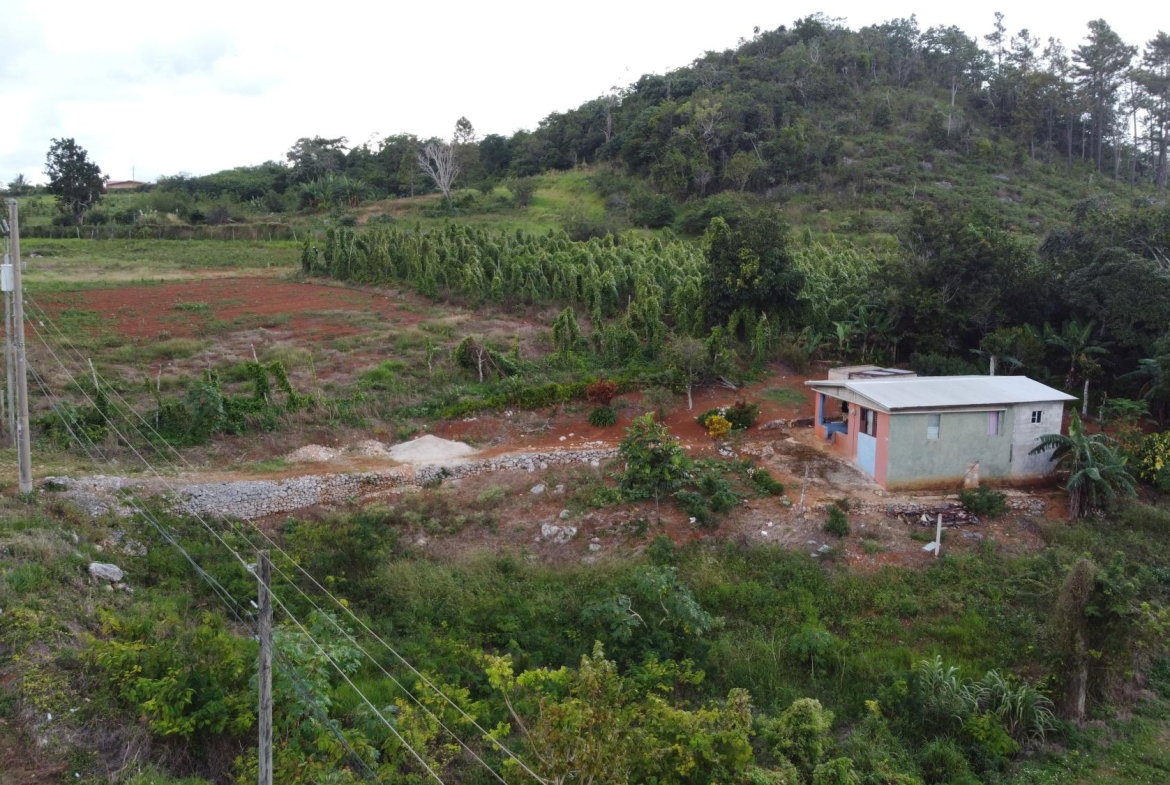 Fourth image of Denham Farm in Denham Farm, Manchester, Jamaica - property is For Sale
