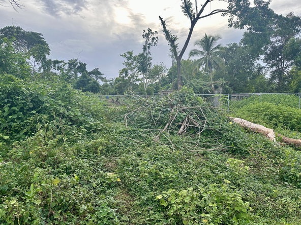Eleventh image of 24 Elim, Bogue P.a. in Elim, St. Elizabeth, Jamaica - property is For Sale