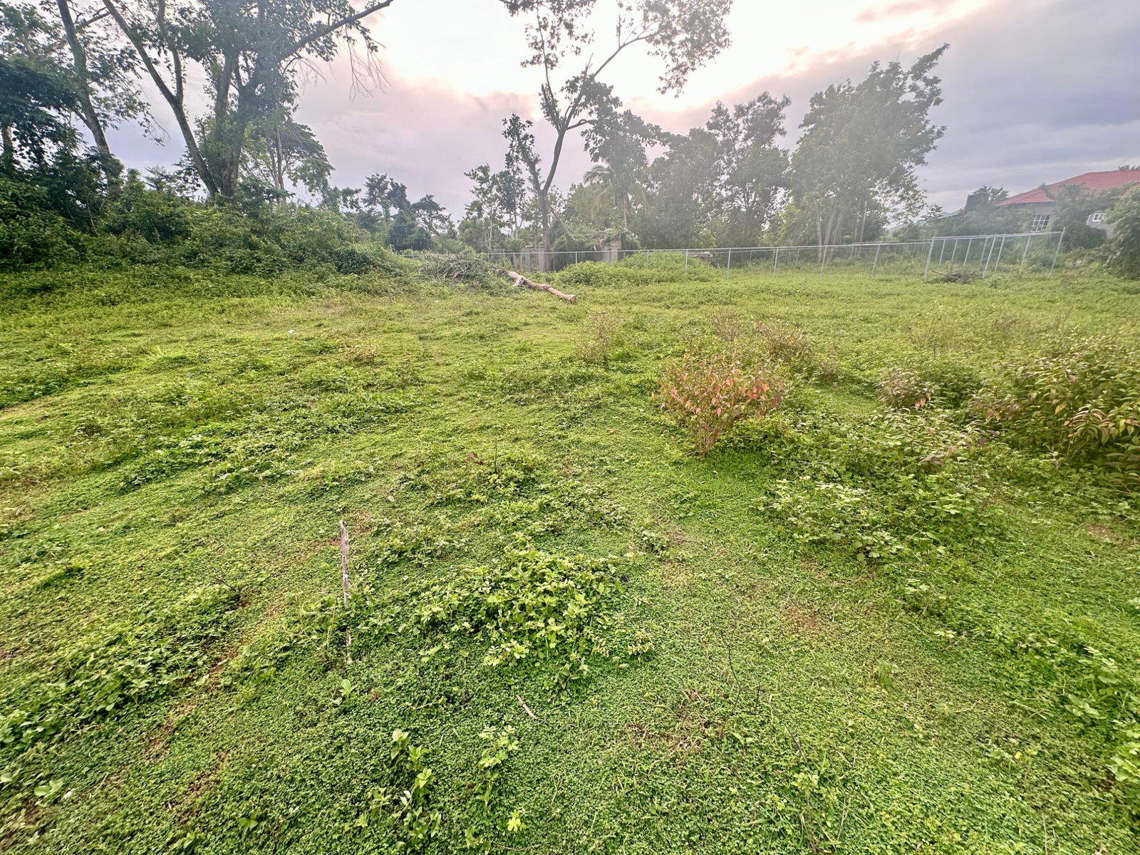 Twelfth image of 24 Elim, Bogue P.a. in Elim, St. Elizabeth, Jamaica - property is For Sale