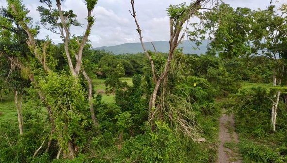 Thirteenth image of 24 Elim, Bogue P.a. in Elim, St. Elizabeth, Jamaica - property is For Sale