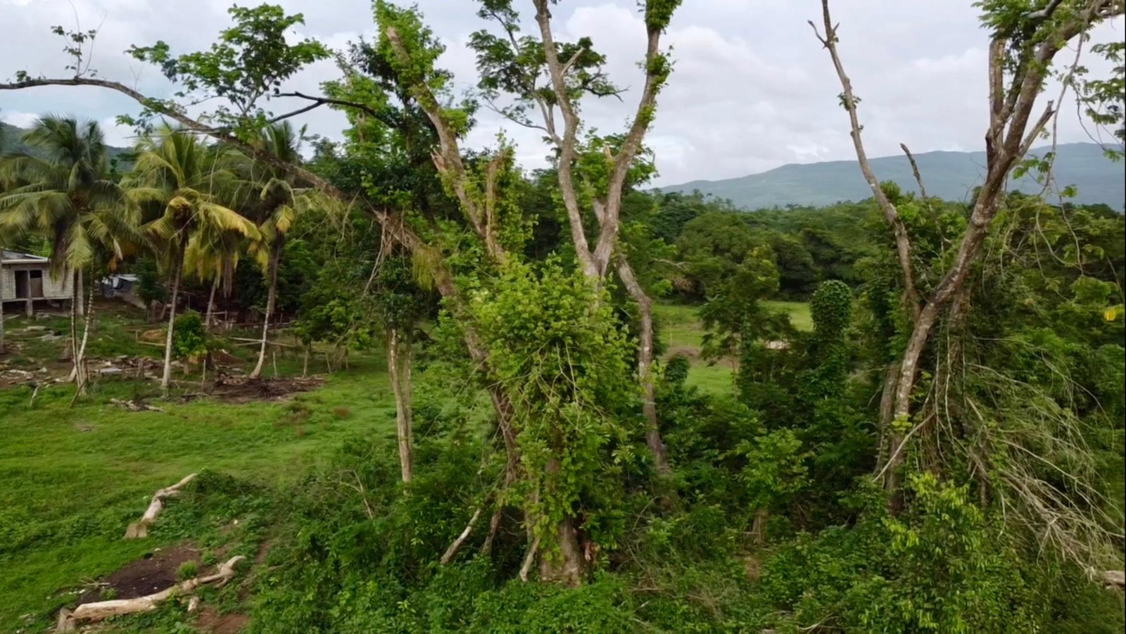 Fourteenth image of 24 Elim, Bogue P.a. in Elim, St. Elizabeth, Jamaica - property is For Sale