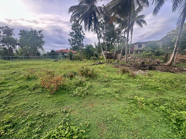Fifteenth image of 24 Elim, Bogue P.a. in Elim, St. Elizabeth, Jamaica - property is For Sale